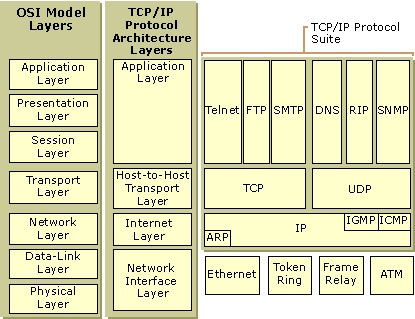 TCP/IP Protocol Architecture