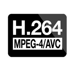 H264